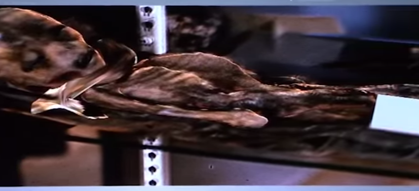 เผยแล้ว ภาพเอเลียนรอสเวลล์ เป็นซากแห้งคล้ายมัมมี่ เผยแล้ว ภาพเอเลียนรอสเวลล์ เป็นซากแห้งคล้ายมัมมี่