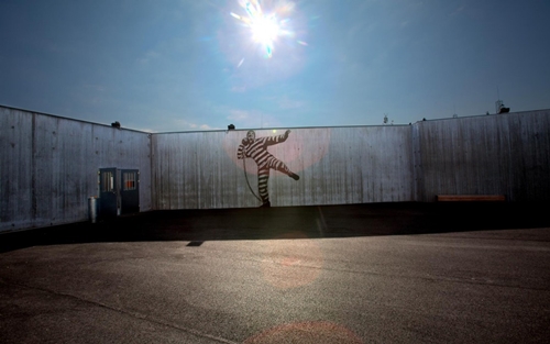 ฮอลเดน คุกนอร์เวย์ ฮอลเดน คุกนอร์เวย์