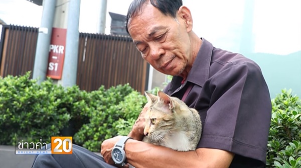 ลุงเล็ก รภป. ใจบุญ นำอาหารเลี้ยงแมวจรจัด ลุงเล็ก รภป. ใจบุญ นำอาหารเลี้ยงแมวจรจัด