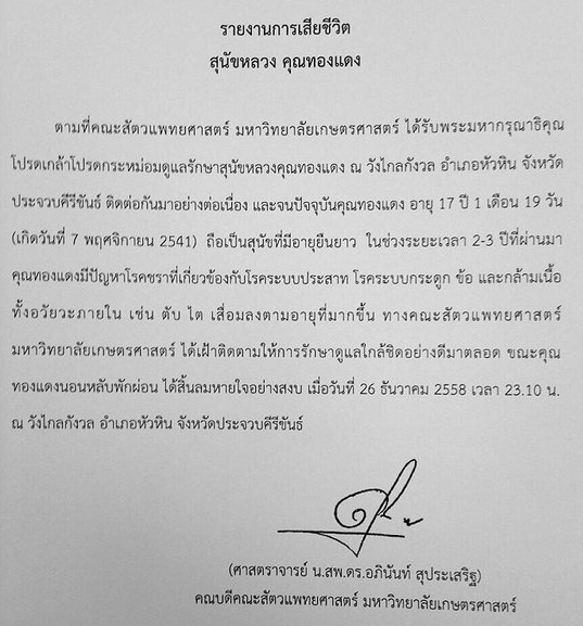 ข่าวคุณทองแดง เสียชีวิต ข่าวคุณทองแดง เสียชีวิต