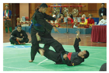 ปันจักสีลัต ปันจักสีลัต