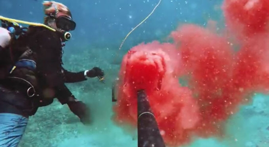 เมื่อนำเลือดมนุษย์ไปสาดล่อฉลาม เมื่อนำเลือดมนุษย์ไปสาดล่อฉลาม