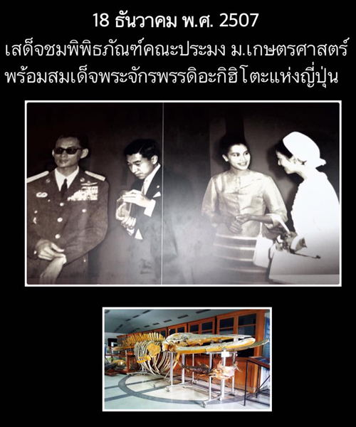 จากปลาบู่ถึงปลานิล จากปลาบู่ถึงปลานิล