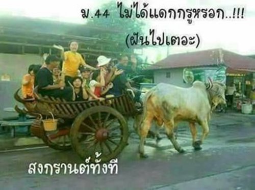 ห้ามนั่งท้ายกระบะ ห้ามนั่งท้ายกระบะ