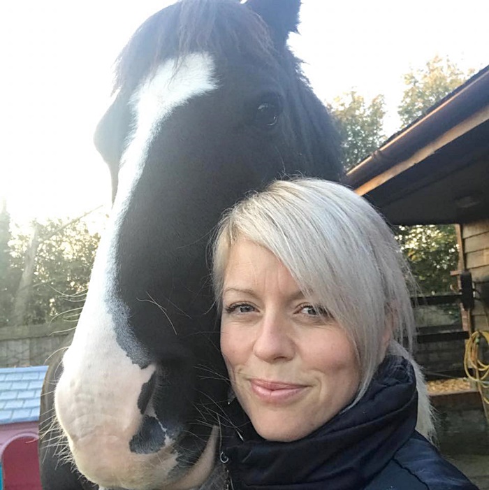 ประมูล ประมูล