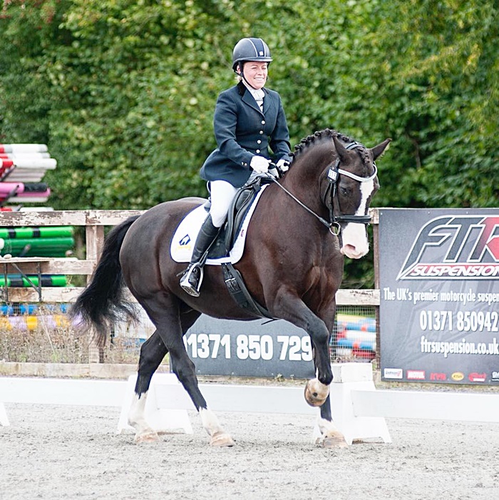 ประมูล ประมูล