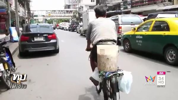 ลุงเลี้ยงนกพิราบ ลุงเลี้ยงนกพิราบ