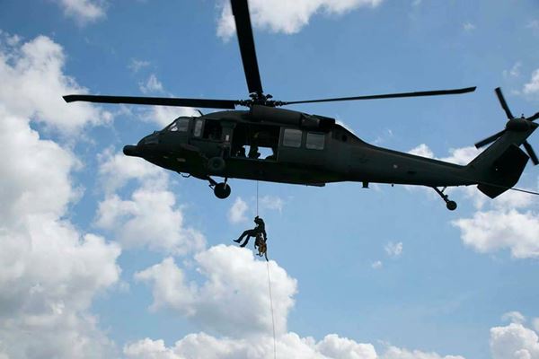 การฝึกสุนัขทหาร การฝึกสุนัขทหาร