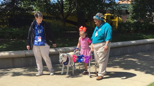 คนสู้ชีวิต คนสู้ชีวิต