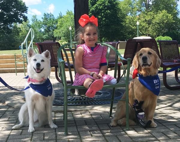 คนสู้ชีวิต คนสู้ชีวิต