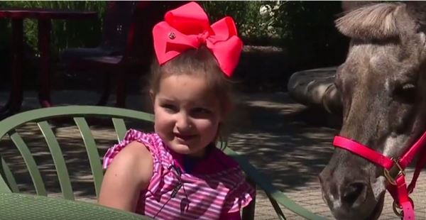 คนสู้ชีวิต คนสู้ชีวิต