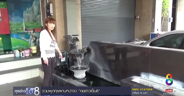 ขโมยปลาคาร์พ ขโมยปลาคาร์พ