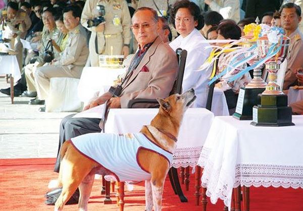 คุณทองแดง คุณทองแดง