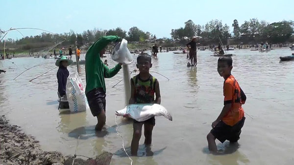 จับปลาในสระหมู่บ้าน จับปลาในสระหมู่บ้าน