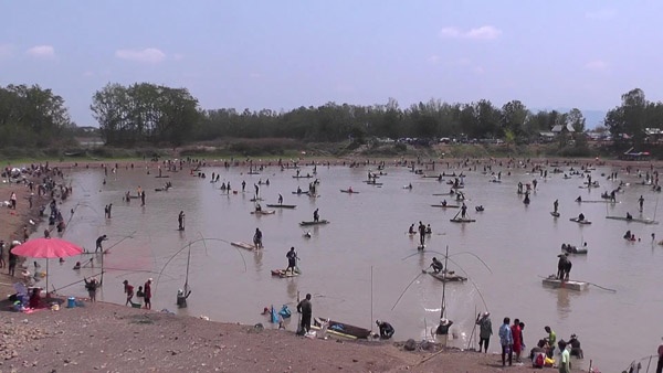 จับปลาในสระหมู่บ้าน จับปลาในสระหมู่บ้าน