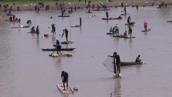 จับปลาในสระหมู่บ้าน จับปลาในสระหมู่บ้าน