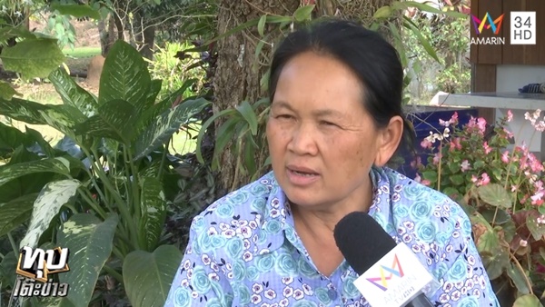 ล่าเสือดำ ล่าเสือดำ