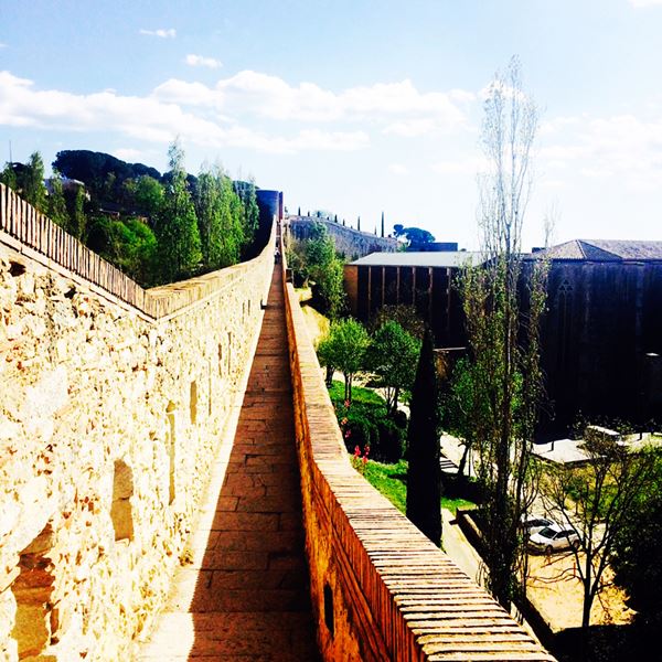 เคธี่ คอลลินส์ เคธี่ คอลลินส์