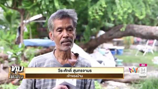 ลุงเลี้ยงนกพิราบ ลุงเลี้ยงนกพิราบ