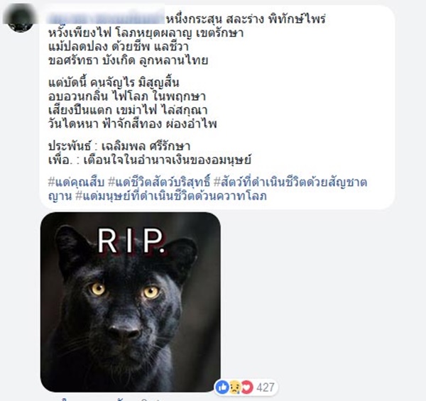 เปรมชัย กรรณสูต เปรมชัย กรรณสูต