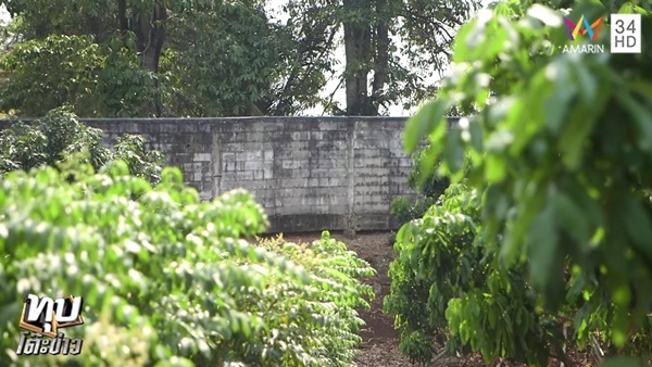 แก๊งฆ่าปาดคอ เจ๊สายันต์-เสี่ยกวง แก๊งฆ่าปาดคอ เจ๊สายันต์-เสี่ยกวง