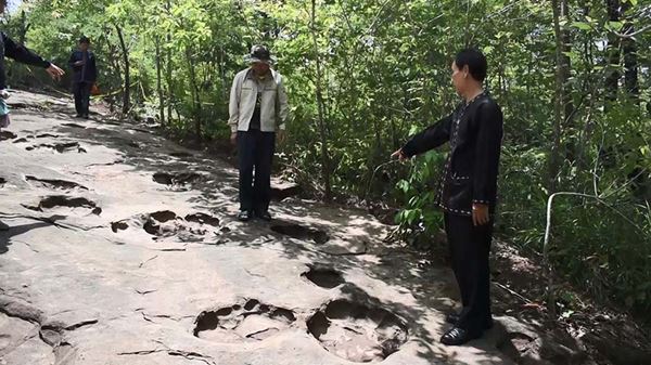 สัตว์ดึกดำบรรพ์ สัตว์ดึกดำบรรพ์