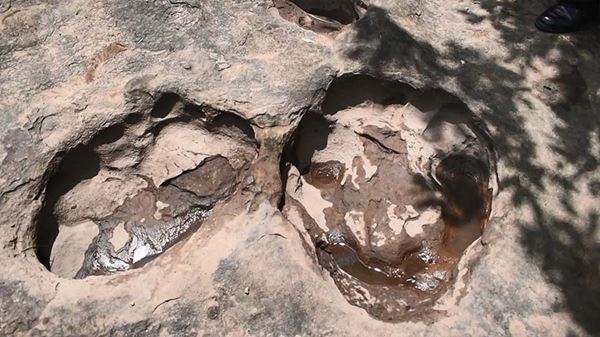 สัตว์ดึกดำบรรพ์ สัตว์ดึกดำบรรพ์