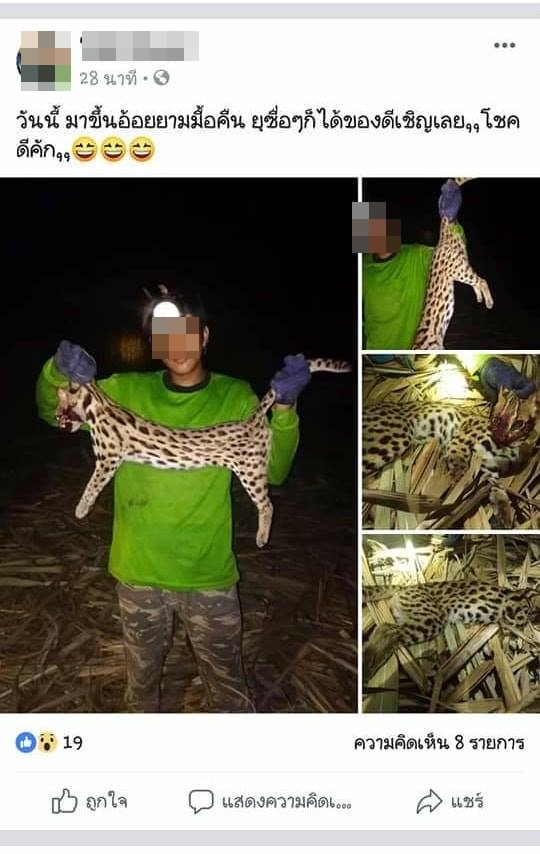 สัตว์ป่าคุ้มครอง สัตว์ป่าคุ้มครอง