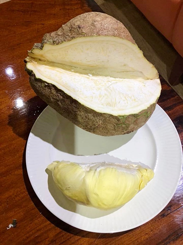 ทุเรียนไร้หนาม ทุเรียนไร้หนาม