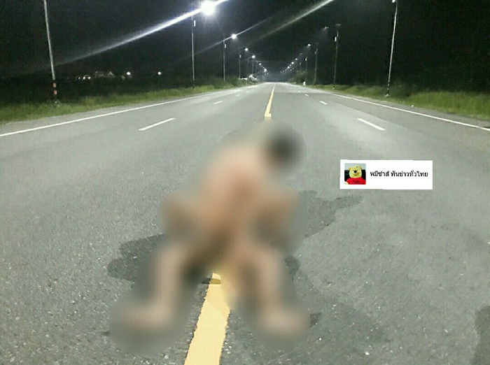 โชว์หนอนกลางป่าชายเลน โชว์หนอนกลางป่าชายเลน