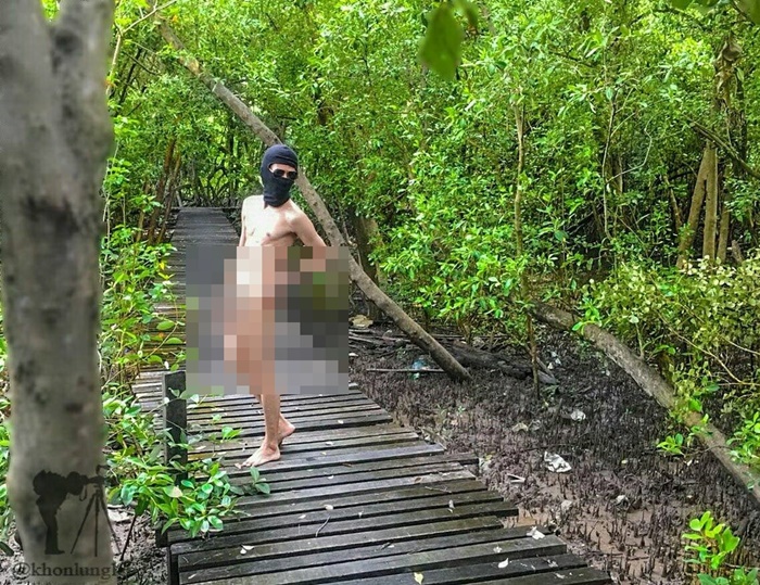 โชว์หนอนกลางป่าชายเลน โชว์หนอนกลางป่าชายเลน