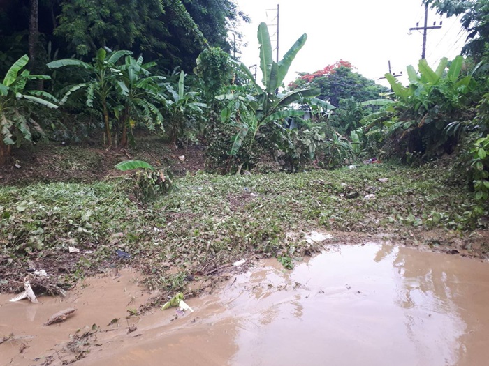 น้ำป่าไหลหลาก น้ำป่าไหลหลาก