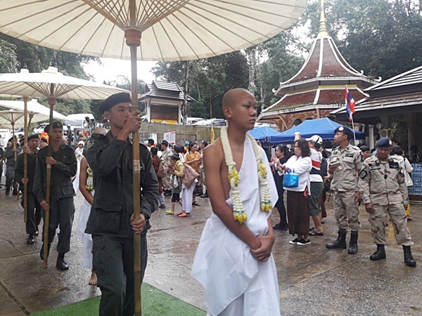 ทีมหมูป่า ทีมหมูป่า