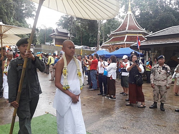 ทีมหมูป่า ทีมหมูป่า