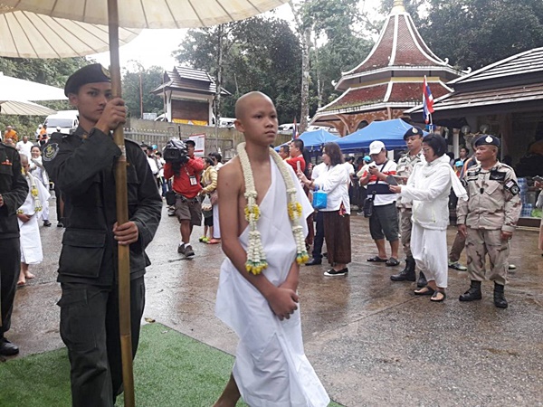 ทีมหมูป่า ทีมหมูป่า