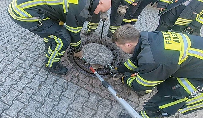 ช่วยเหลือสัตว์ ช่วยเหลือสัตว์