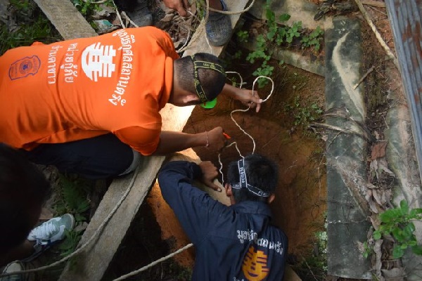 งูเห่า งูเห่า