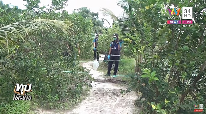 โจรขโมยมะนาว โจรขโมยมะนาว