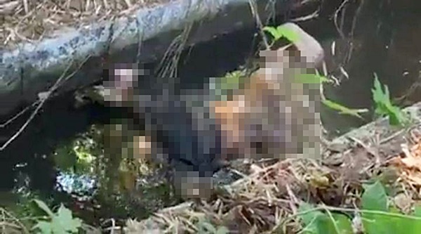 น้องภาคิน น้องภาคิน