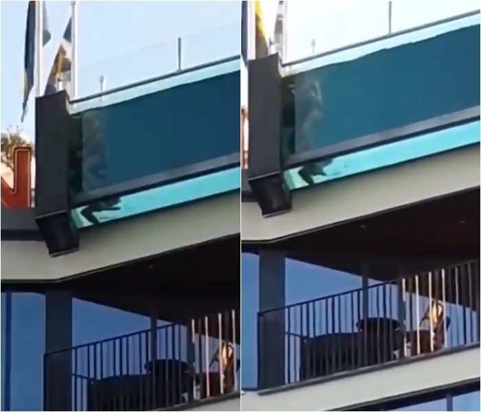 เซ็กส์ในสระน้ำ เซ็กส์ในสระน้ำ