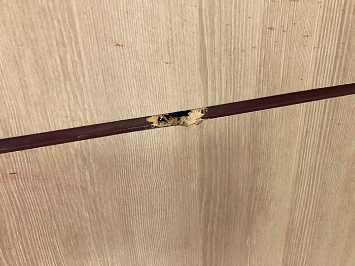 ตำรวจยิงตัวตาย ตำรวจยิงตัวตาย