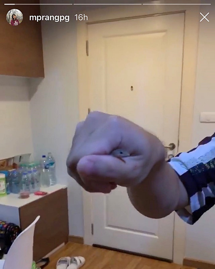 รับจ้าง จับจิ้งจก-แมลงสาบ รับจ้าง จับจิ้งจก-แมลงสาบ