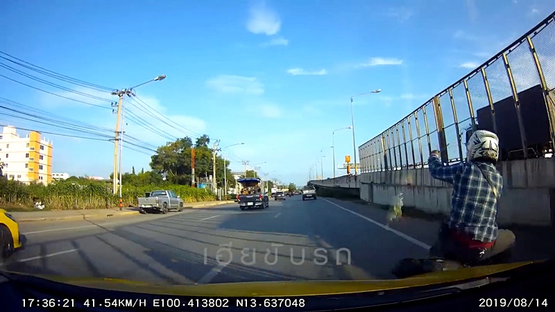 แทงคน แทงคน