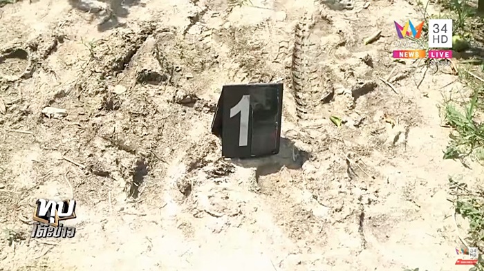 โจรขโมยมะนาว โจรขโมยมะนาว