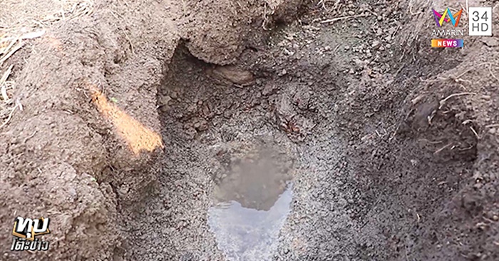 น้ำผุดปริศนากลางทุ่งนา น้ำผุดปริศนากลางทุ่งนา