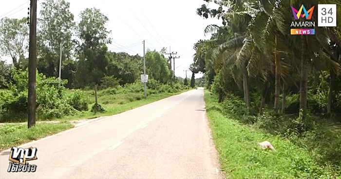 ครูหนุ่มแทงดับ ครูหนุ่มแทงดับ