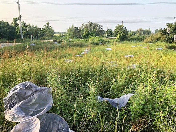 โคมยี่เป็ง โคมยี่เป็ง