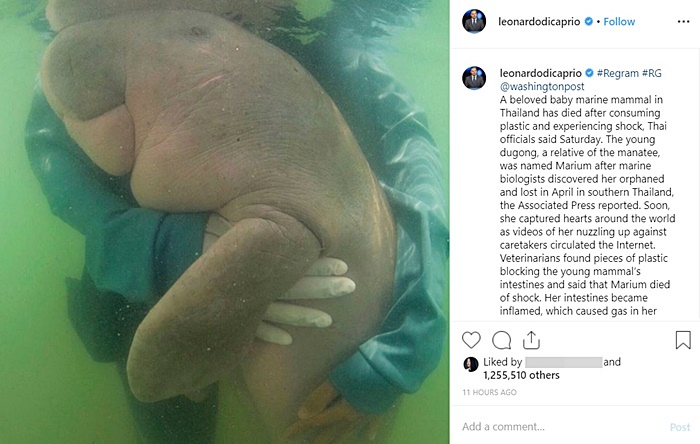 ลีโอนาร์โด ดีคาปริโอ พูดถึงการตาย มาเรียม ลีโอนาร์โด ดีคาปริโอ พูดถึงการตาย มาเรียม