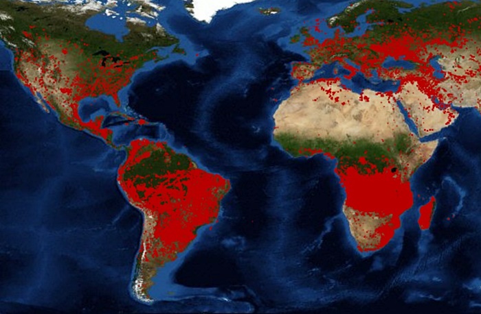 ไฟป่า ไฟป่า