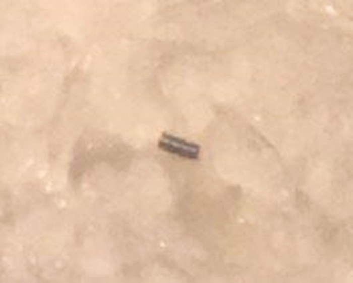 ไมโครพลาสติกในปลาทู ไมโครพลาสติกในปลาทู